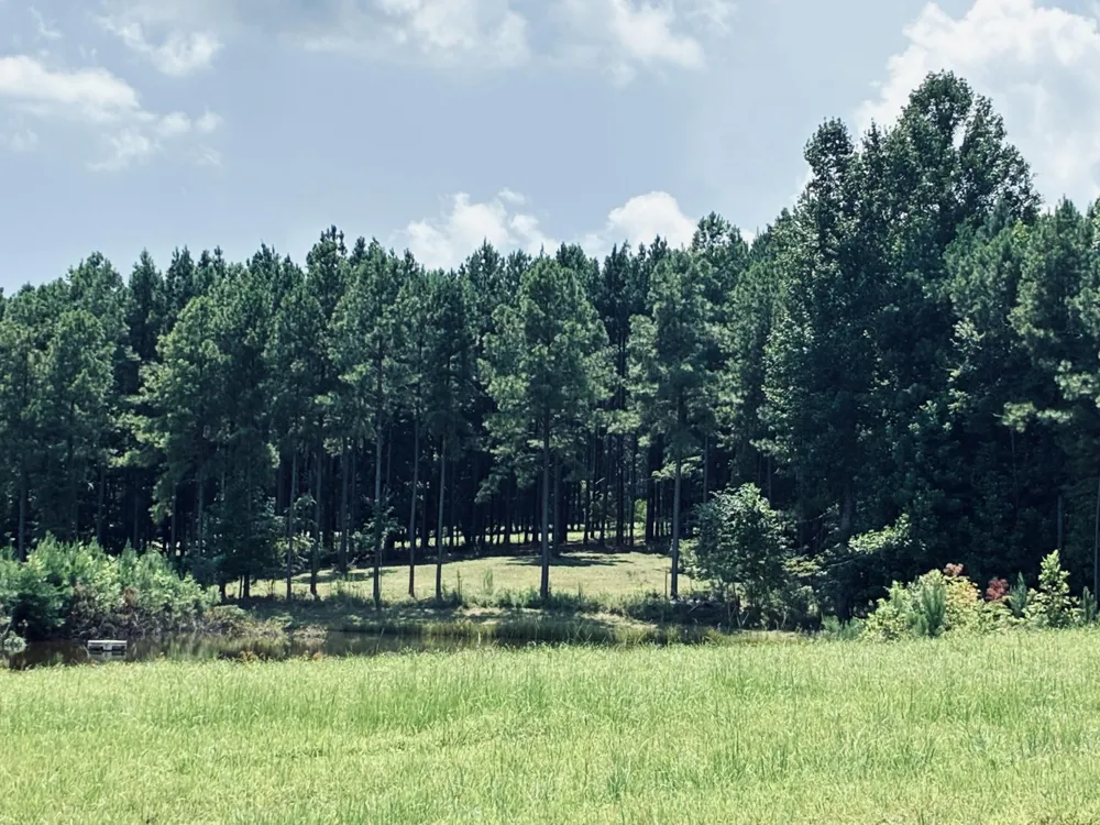 350 Crockett Loop Jasper, TN 37347