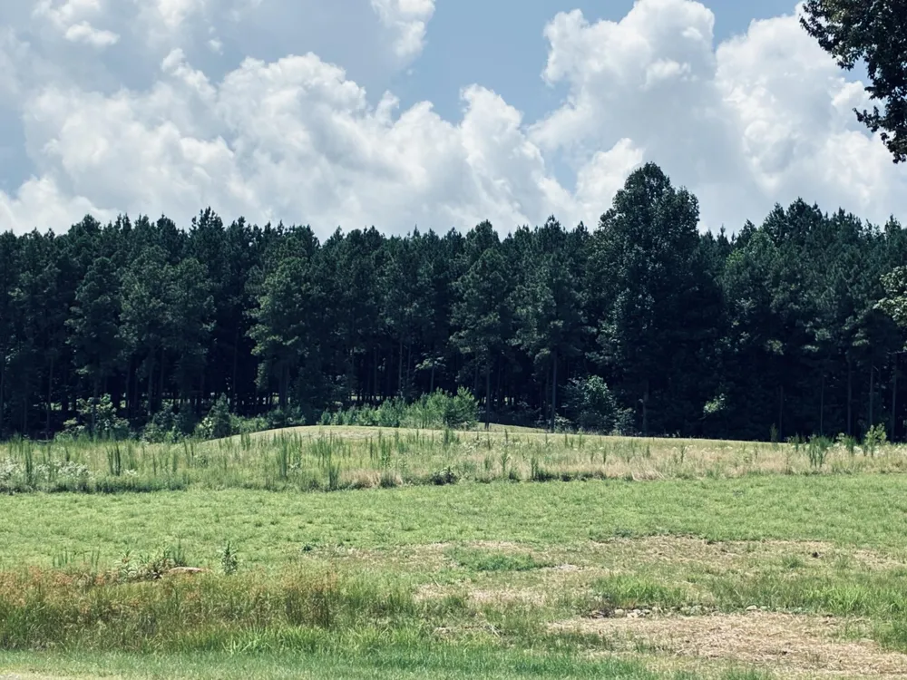 350 Crockett Loop Jasper, TN 37347