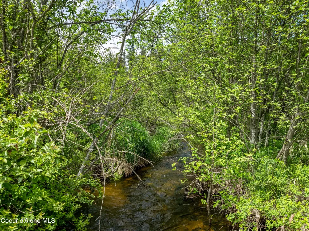435 Shady Pines Loop Priest Lake, ID 83856