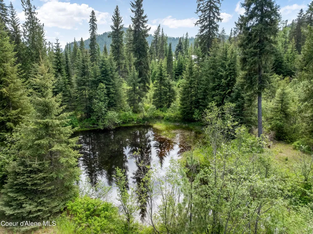 435 Shady Pines Loop Priest Lake, ID 83856