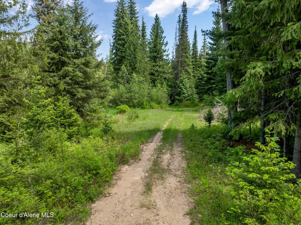 435 Shady Pines Loop Priest Lake, ID 83856