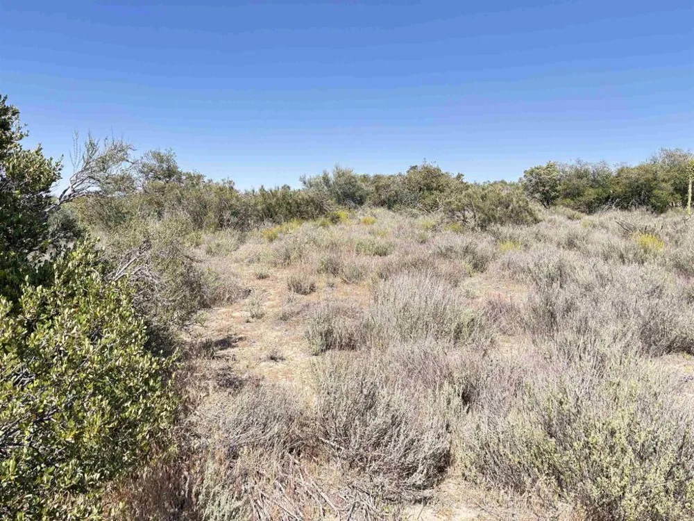 Shasta way Boulevard, CA 91905