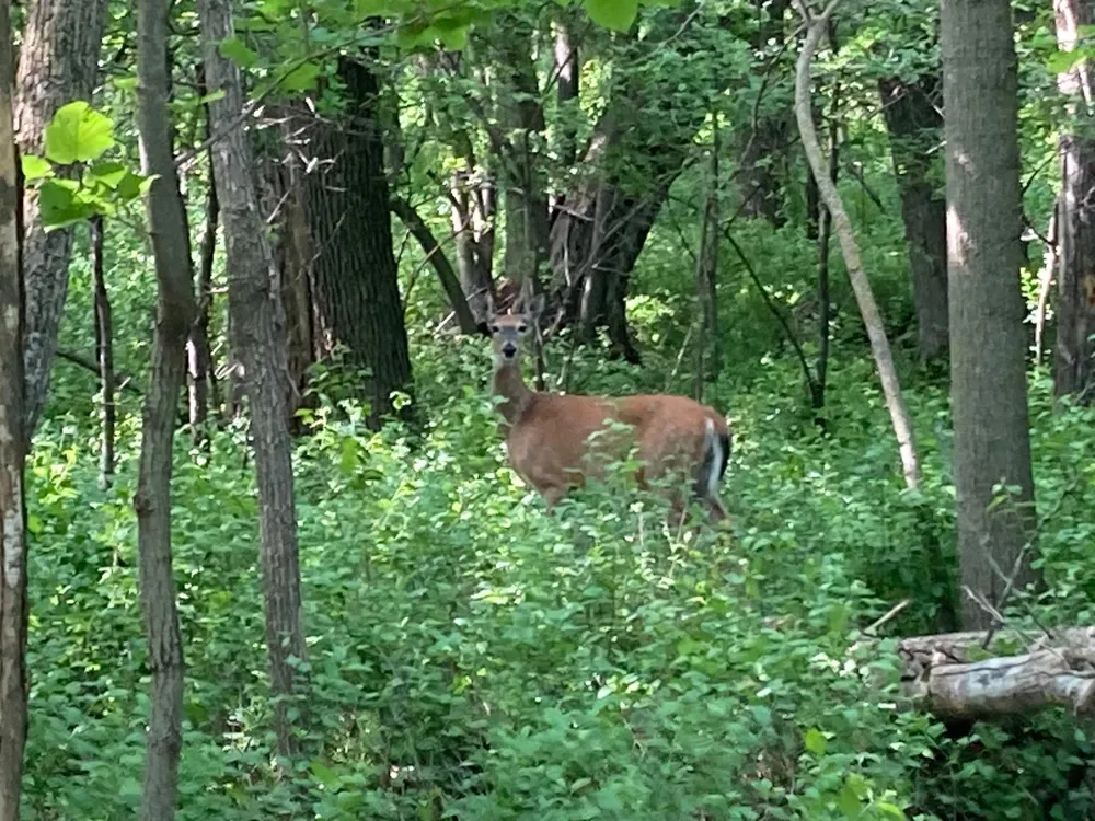 000 200th Street Lake Park, MN 56554