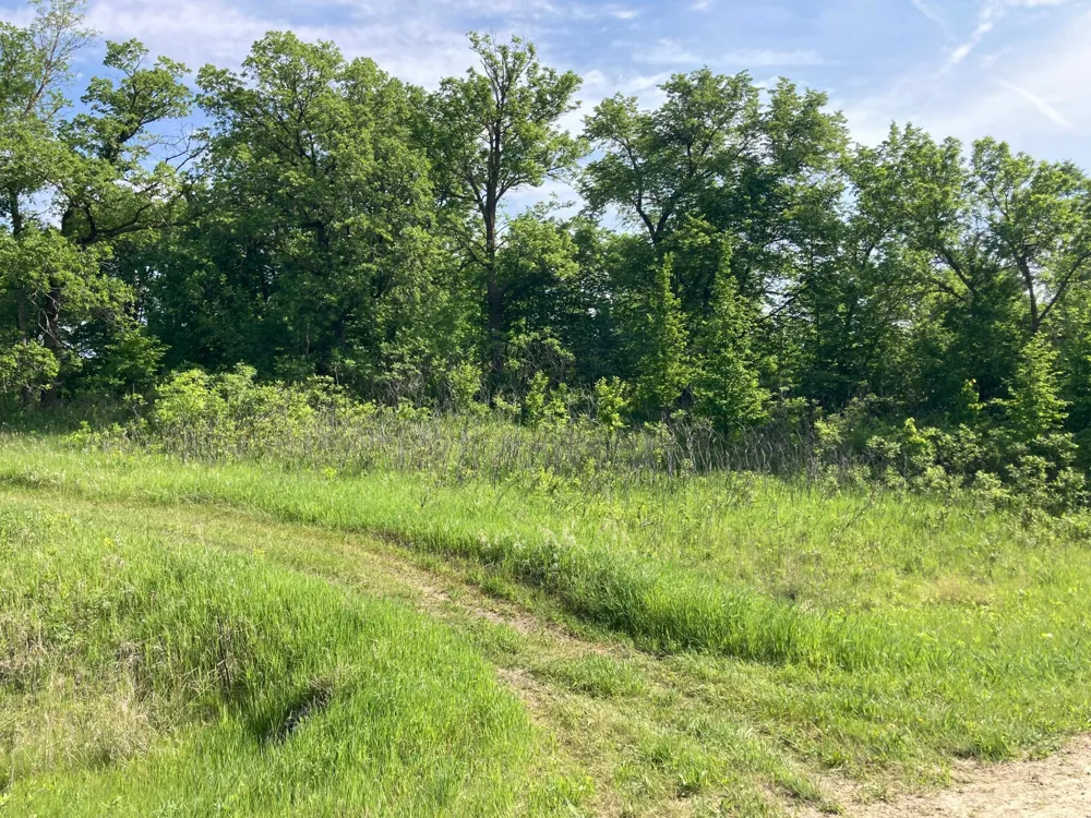 000 200th Street Lake Park, MN 56554