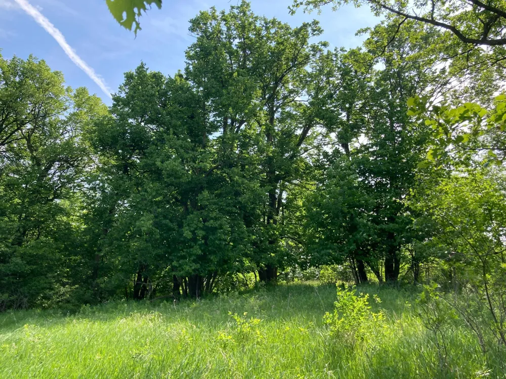 000 200th Street Lake Park, MN 56554