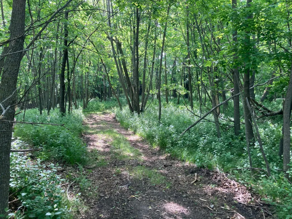 000 200th Street Lake Park, MN 56554