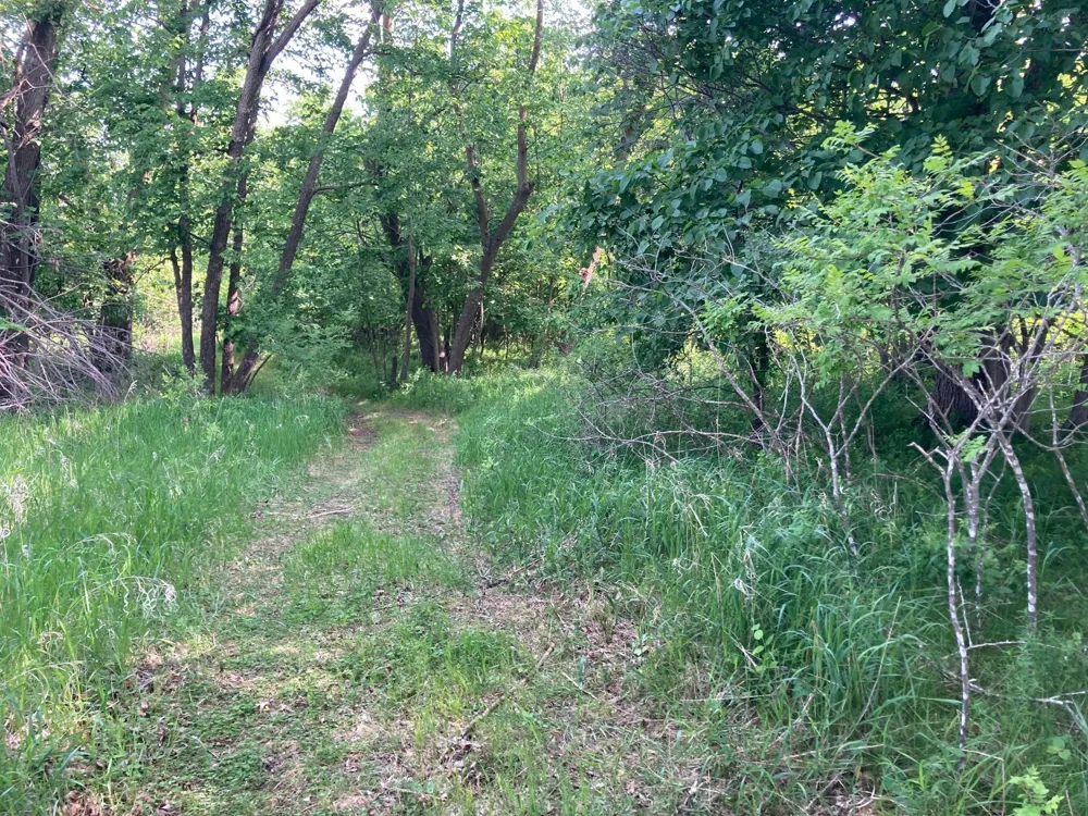 000 200th Street Lake Park, MN 56554
