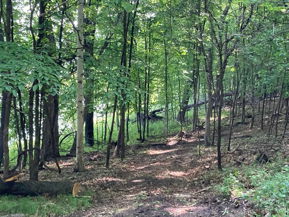 000 200th Street Lake Park, MN 56554