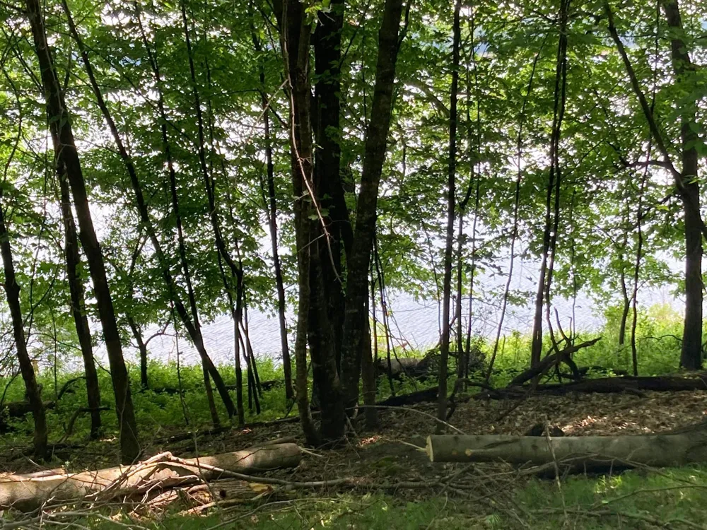 000 200th Street Lake Park, MN 56554