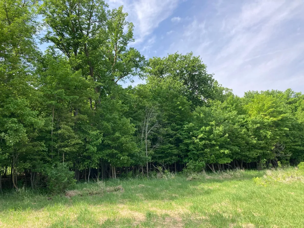 000 200th Street Lake Park, MN 56554