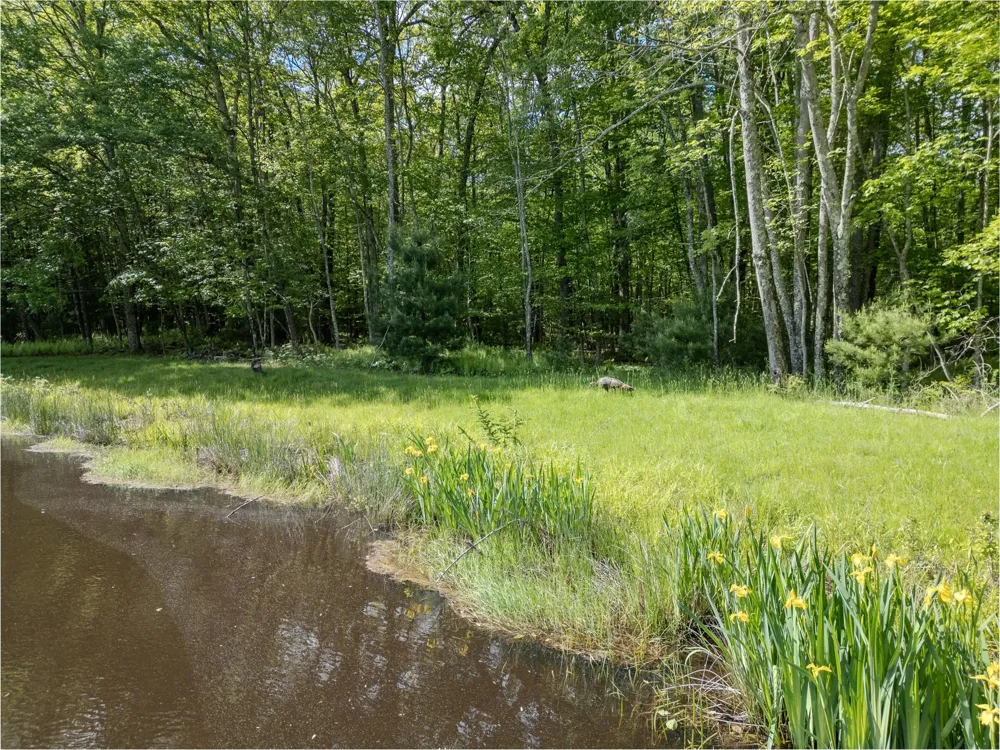 763 County Road 114 Cochecton, NY 12726