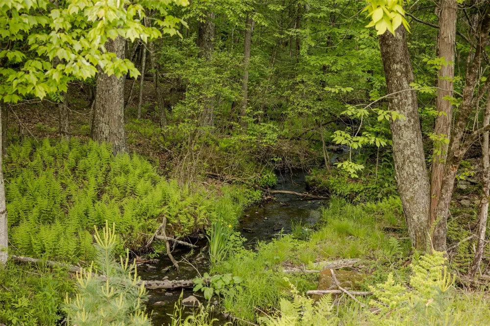 763 County Road 114 Cochecton, NY 12726