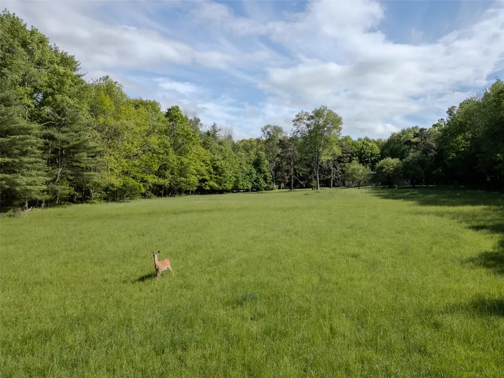 763 County Road 114 Cochecton, NY 12726