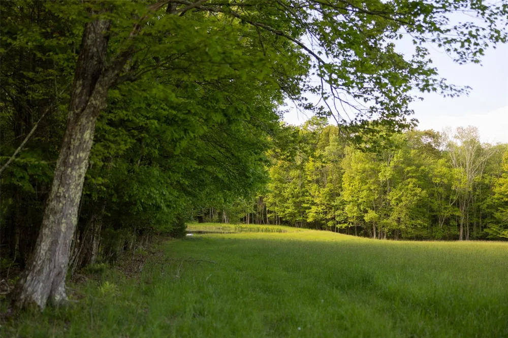 763 County Road 114 Cochecton, NY 12726