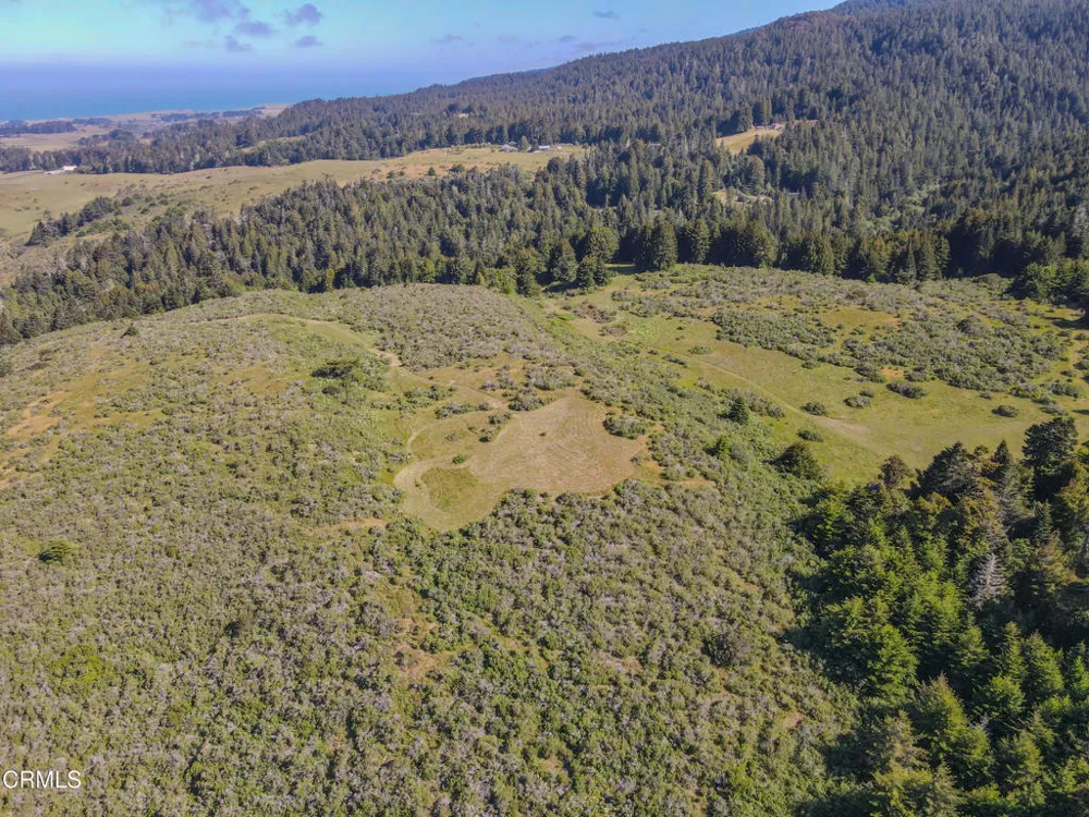 42000 Mountain View Road Manchester, CA 95459