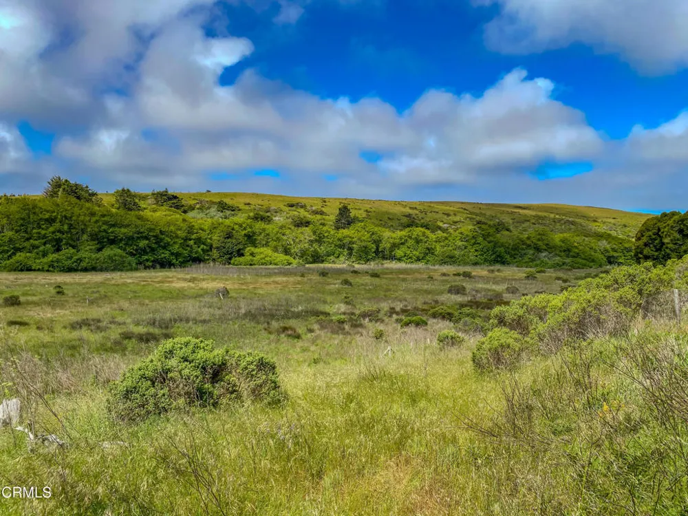 42000 Mountain View Road Manchester, CA 95459