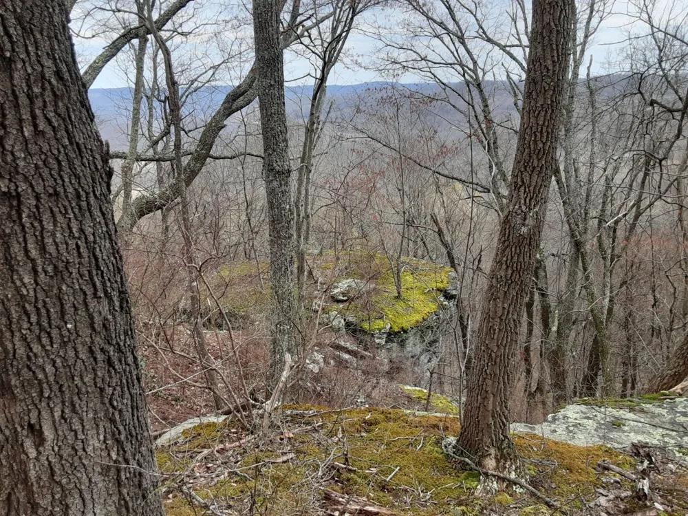 0 SHEEP BLUFF ROAD Cookeville, TN 38506