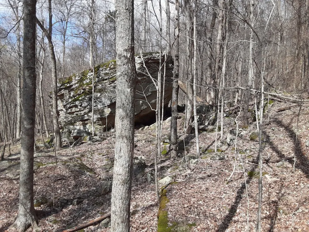 0 SHEEP BLUFF ROAD Cookeville, TN 38506