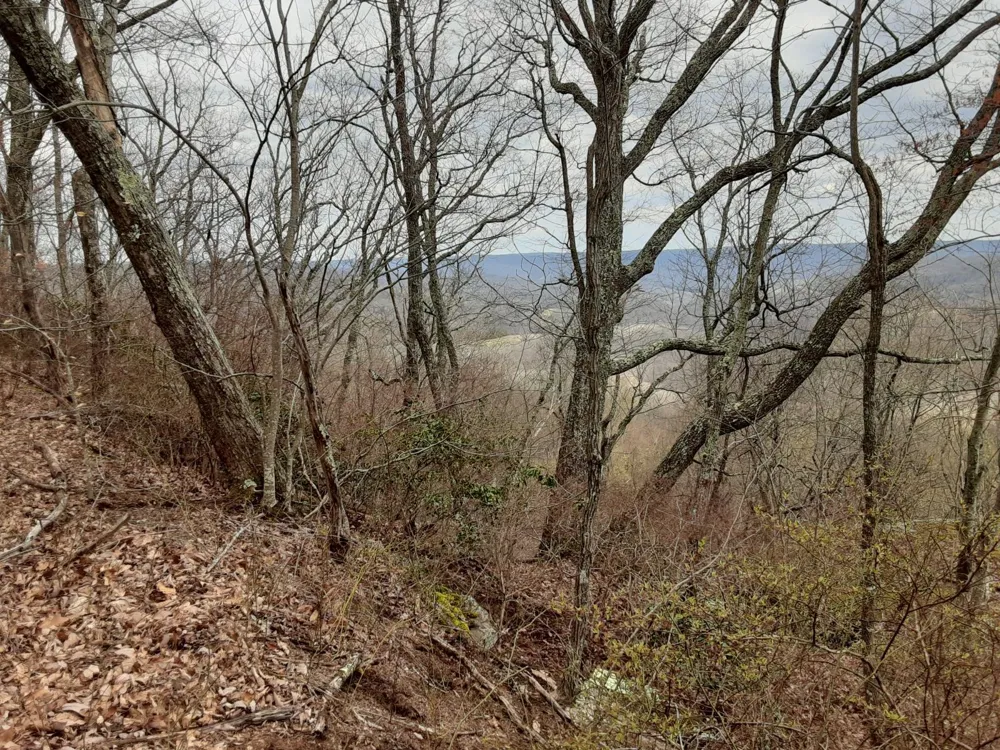 0 SHEEP BLUFF ROAD Cookeville, TN 38506