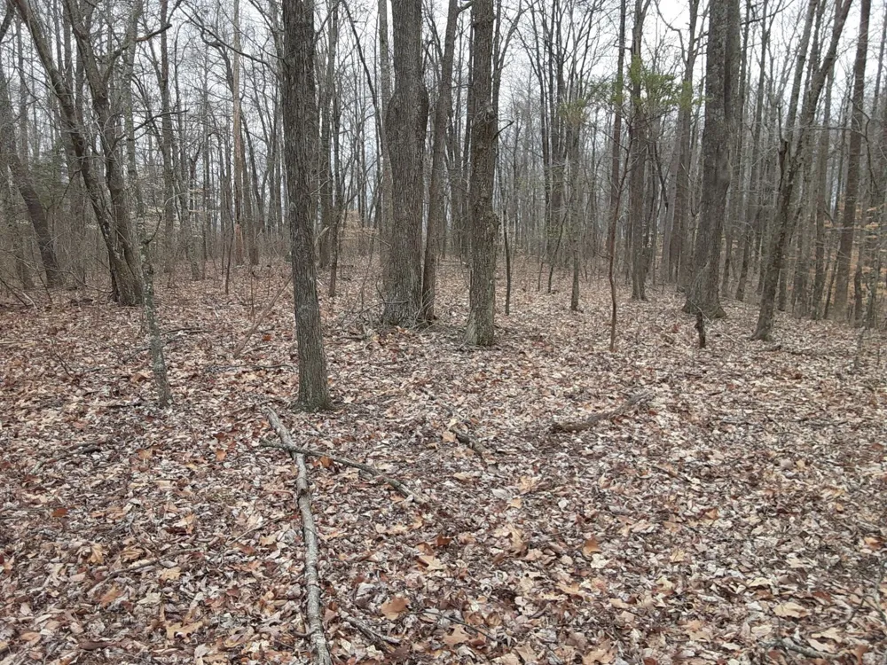 0 SHEEP BLUFF ROAD Cookeville, TN 38506