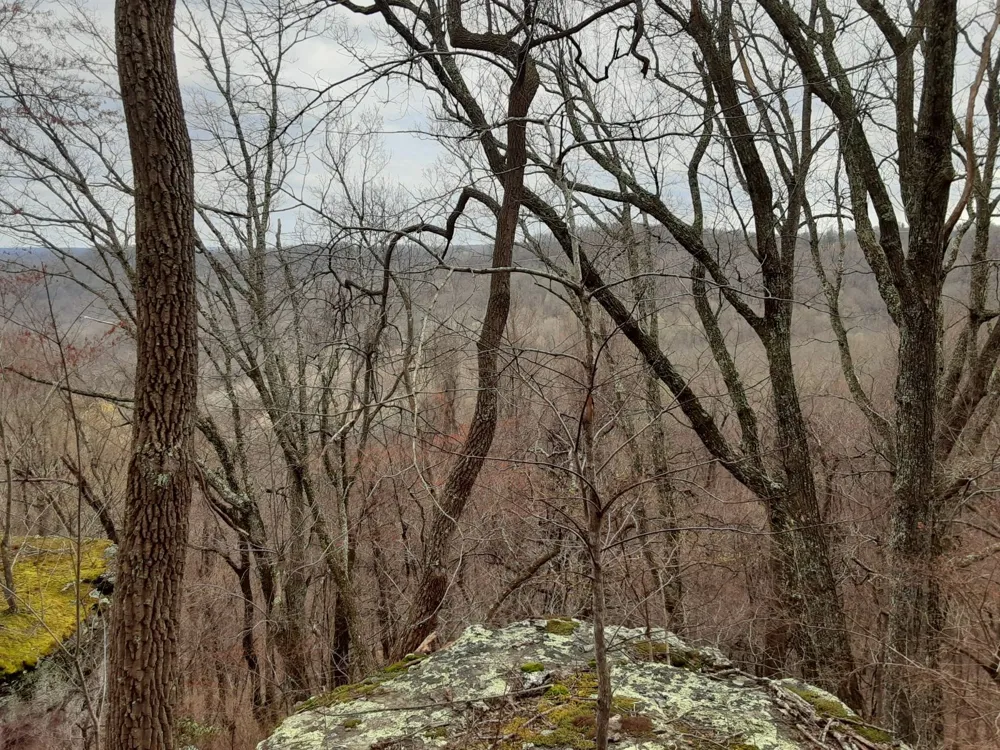 0 SHEEP BLUFF ROAD Cookeville, TN 38506