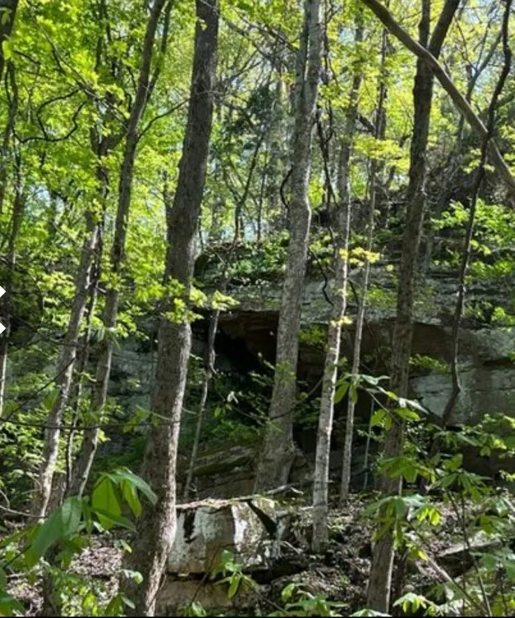 0 SHEEP BLUFF ROAD Cookeville, TN 38506