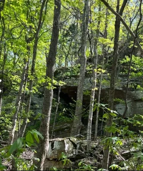 0 SHEEP BLUFF ROAD