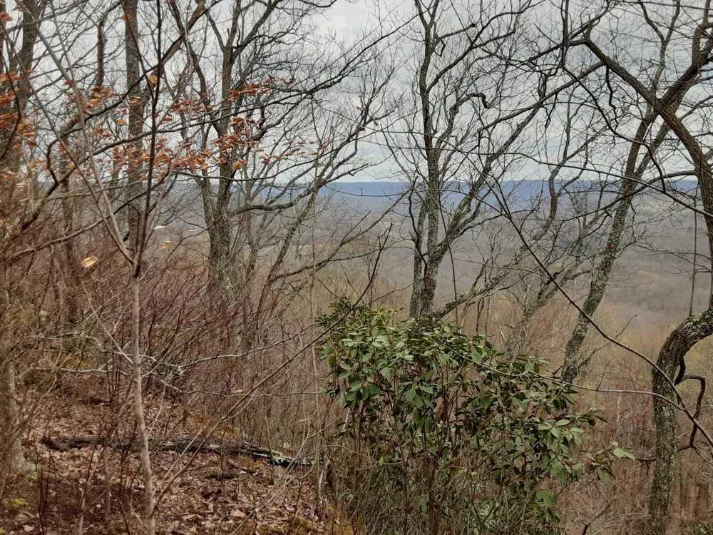 0 SHEEP BLUFF ROAD Cookeville, TN 38506