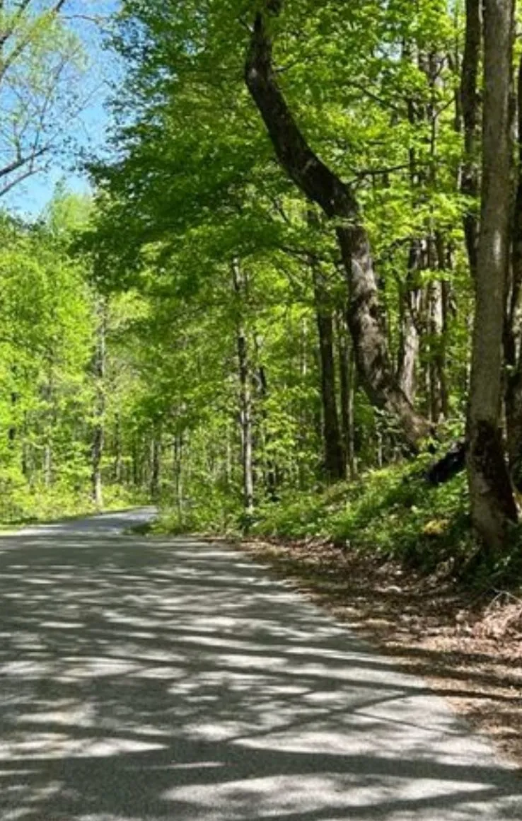 0 SHEEP BLUFF ROAD Cookeville, TN 38506