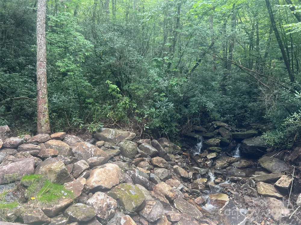 TBD Fairway Drive Lake Toxaway, NC 28747
