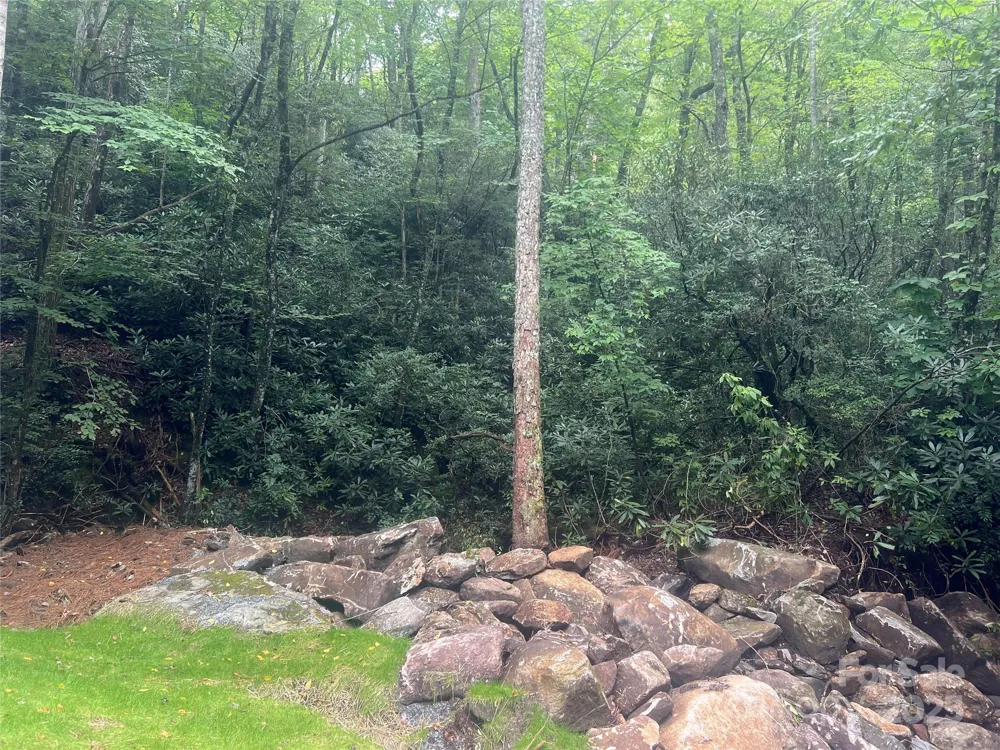 TBD Fairway Drive Lake Toxaway, NC 28747