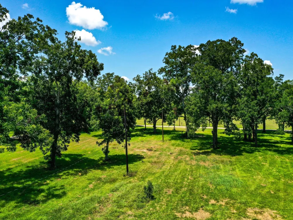 Texasgulf Avenue Boling, TX 77420