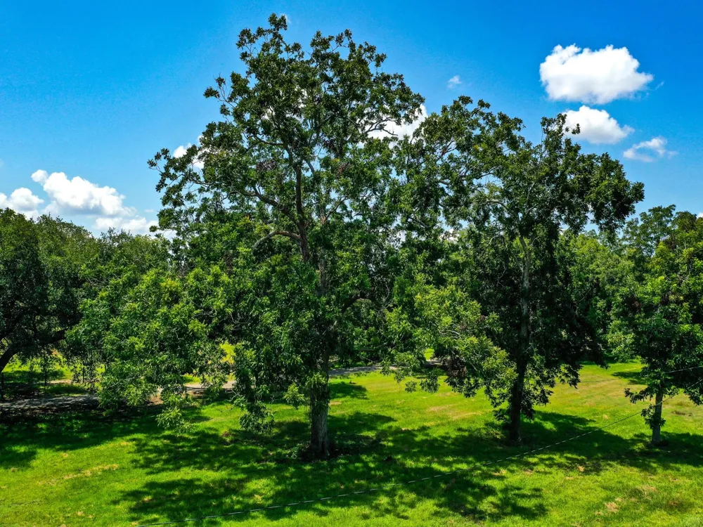 Texasgulf Avenue Boling, TX 77420