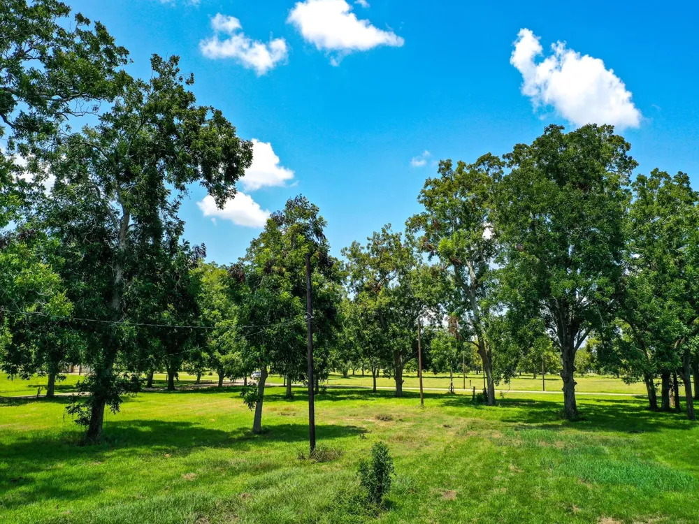 Texasgulf Avenue Boling, TX 77420