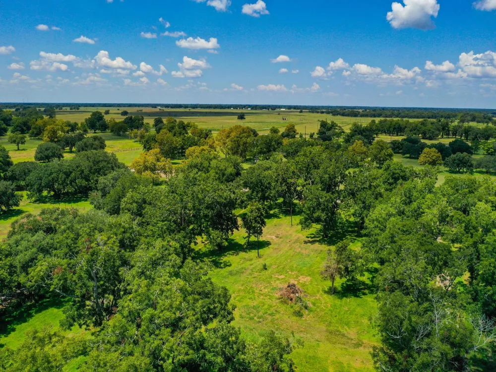 Texasgulf Avenue Boling, TX 77420
