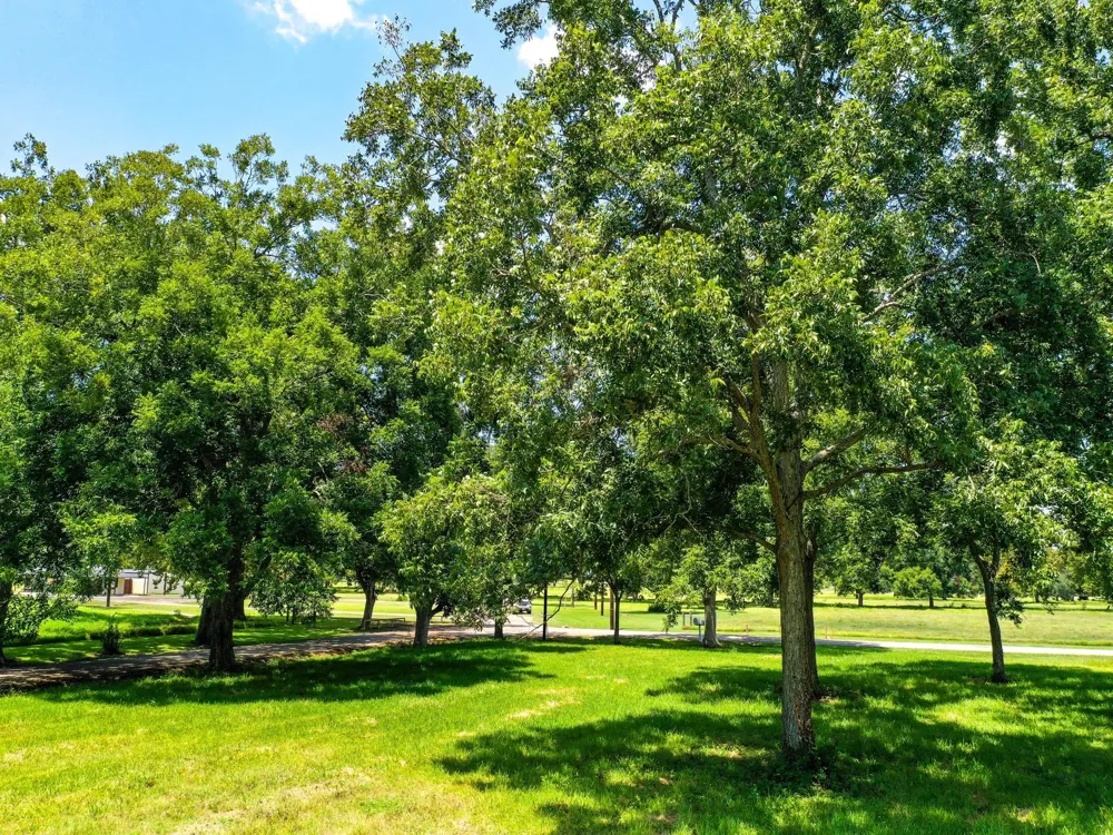 Texasgulf Avenue Boling, TX 77420