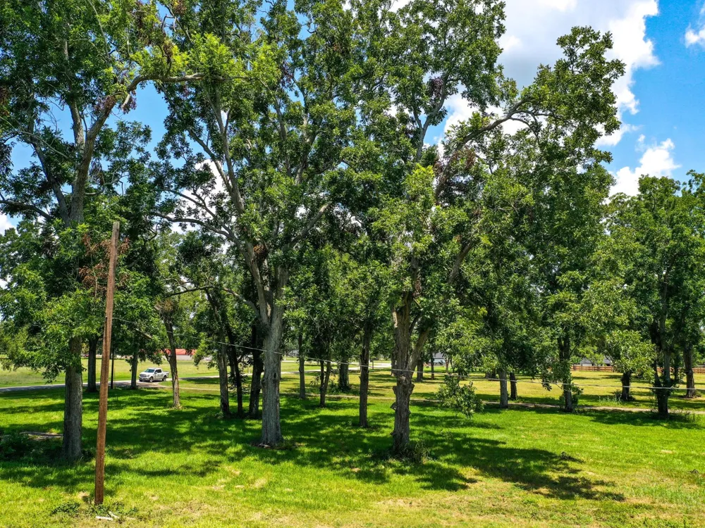Texasgulf Avenue Boling, TX 77420
