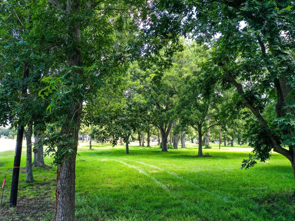 Texasgulf Avenue Boling, TX 77420