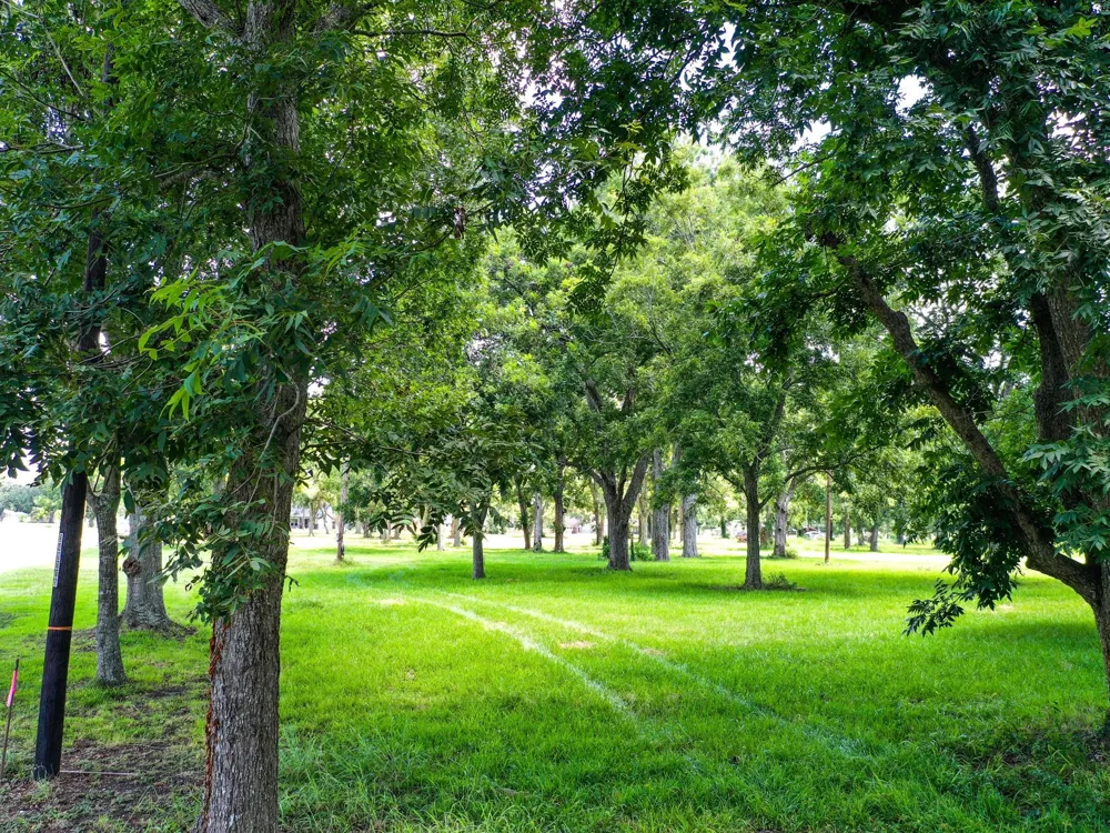 Texasgulf Avenue Boling, TX 77420