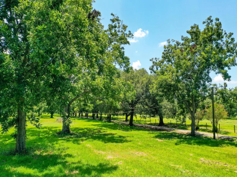 Texasgulf Avenue Boling, TX 77420