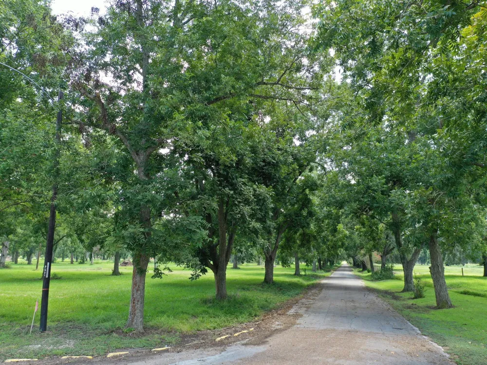 Texasgulf Avenue Boling, TX 77420