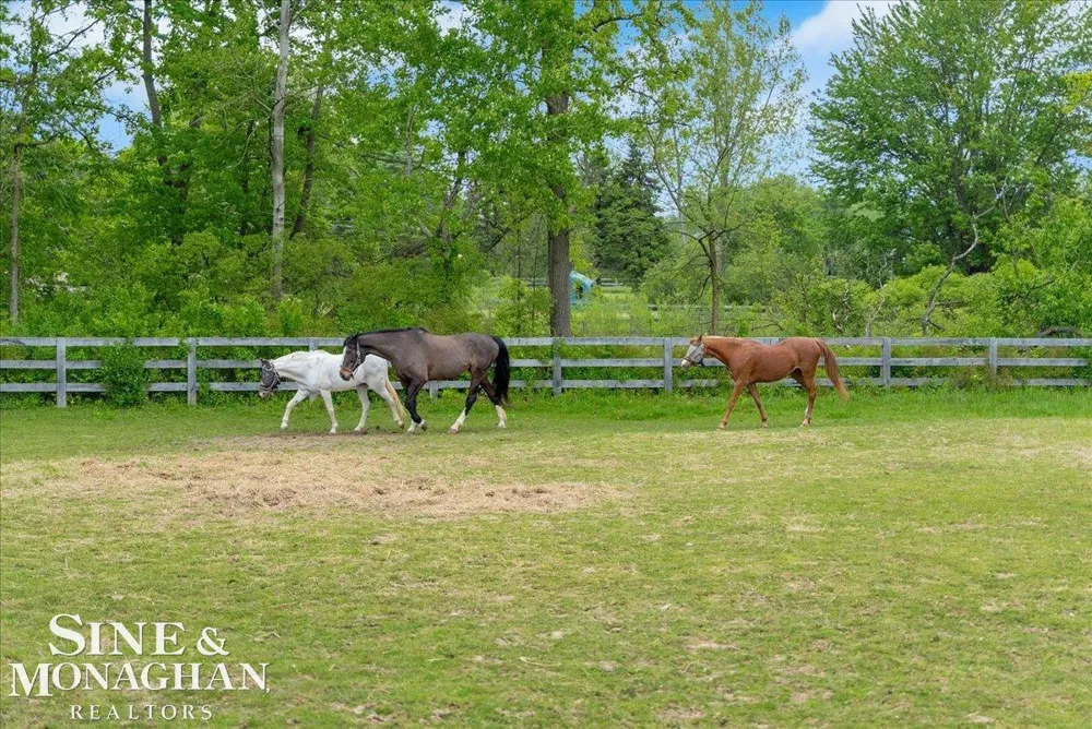 270 Rochester Road Addison Township, MI 48367