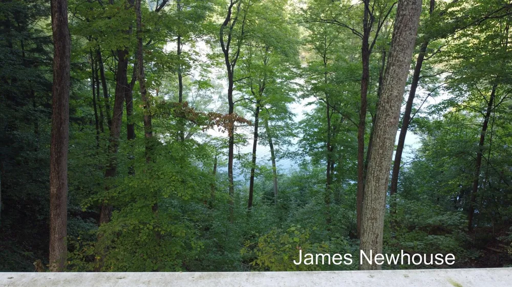 4468 Teal Lane Newaygo, MI 49337