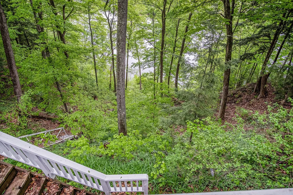 4468 Teal Lane Big Prairie Township, MI 49337