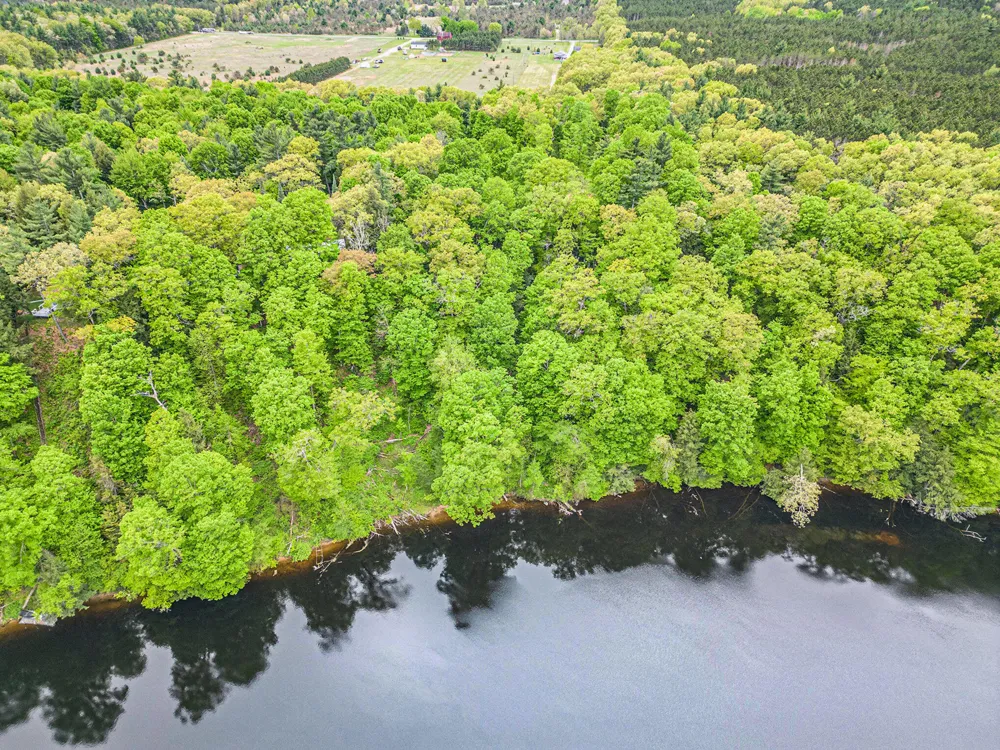 4468 Teal Lane Big Prairie Township, MI 49337