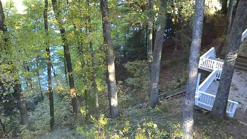 4468 Teal Lane Big Prairie Township, MI 49337