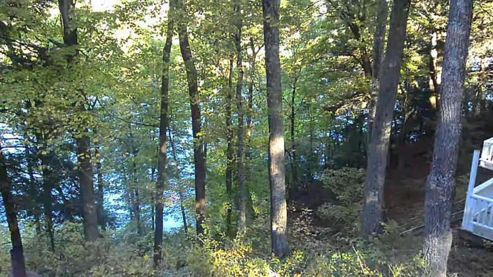 4468 Teal Lane Big Prairie Township, MI 49337