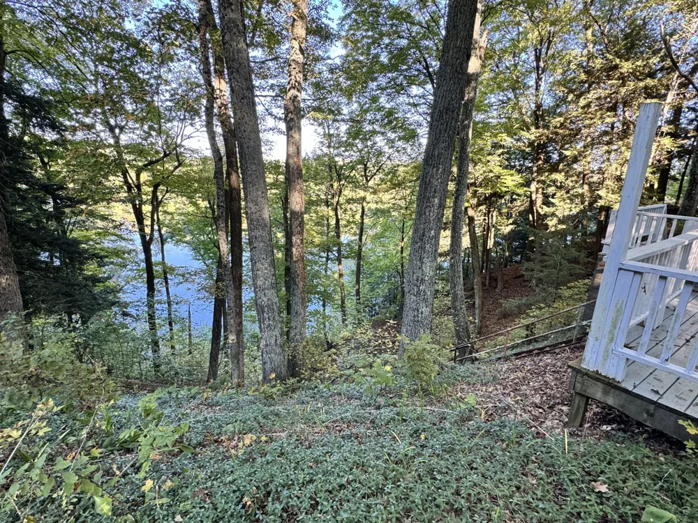 4468 Teal Lane Big Prairie Township, MI 49337