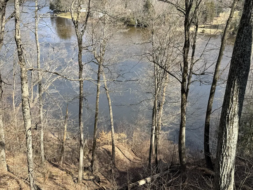 4468 Teal Lane Big Prairie Township, MI 49337