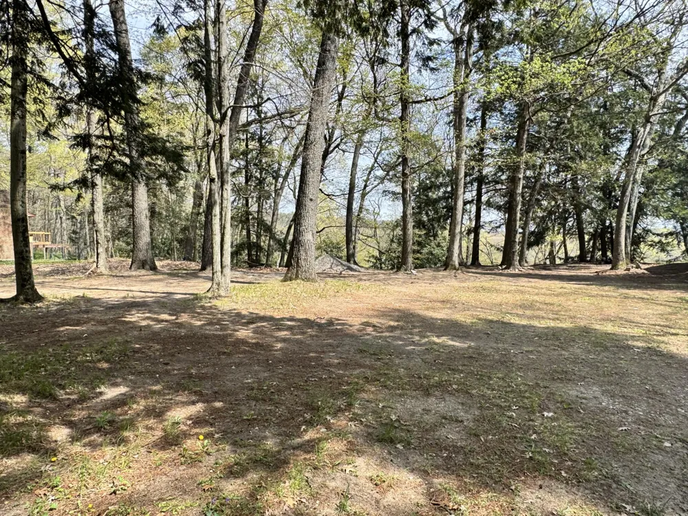 4468 Teal Lane Big Prairie Township, MI 49337